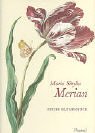Beispielbild für Prestel-Minis: Maria Sibylla Merian, Neues Blumenbuch zum Verkauf von medimops