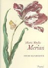 Imagen de archivo de Prestel-Minis: Maria Sibylla Merian, Neues Blumenbuch a la venta por medimops