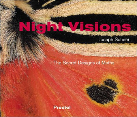 9783791329680: Night Visions: The Secret Designs of Moths /anglais: The Secret Design of Moths