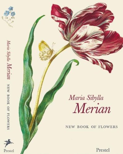 9783791329758: Maria Sibylla Merian: New Book of Flowers (Prestel Mini Guides) /anglais (Prestel Mini Guides S.)