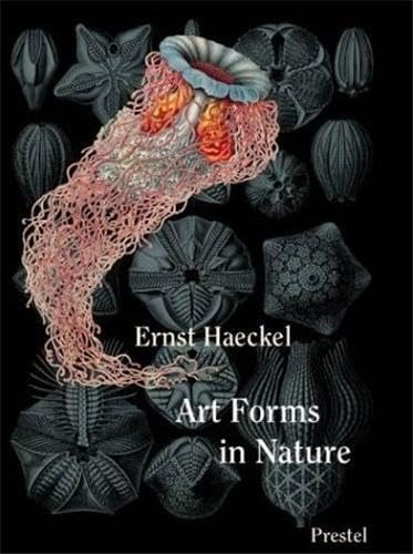 9783791330853: Art Forms in Nature Mini: Ernst Haeckel