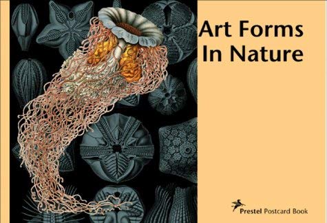 9783791332086: Art Forms In Nature: Ernst Haeckel