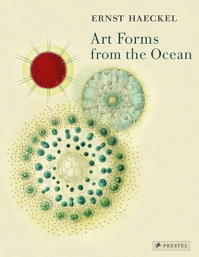 9783791333274: Ernst Haeckel Art Forms from the Ocean /anglais: the radiolarian atlas of 1862