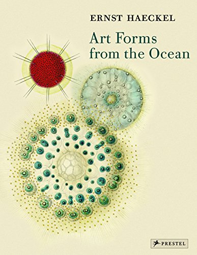 Stock image for Art Forms from the Ocean: The Radiolarian Prints of Ernst Haeckel for sale by Dream Books Co.