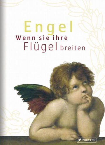 Stock image for Engel: Geschenkbuch for sale by tomsshop.eu