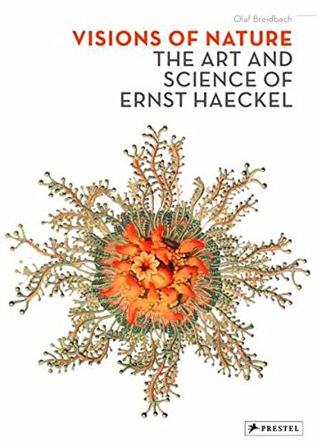 Stock image for Visions of Nature: The Art And Science of Ernst Haeckel for sale by HPB-Red