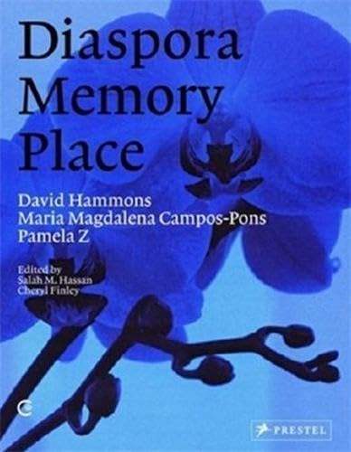 Diaspora Memory Place - Three Artists / Three Projects. David Hammons - Maria Magdalena Campos-Po...