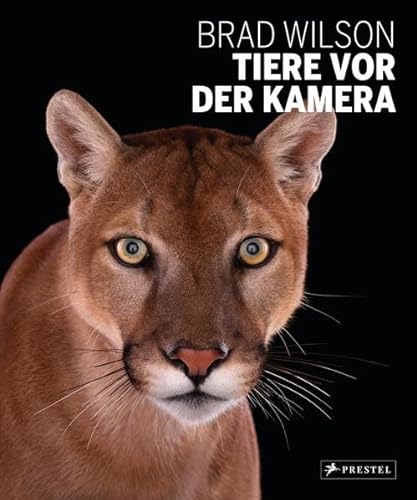 Stock image for Tiere vor der Kamera for sale by BuchZeichen-Versandhandel
