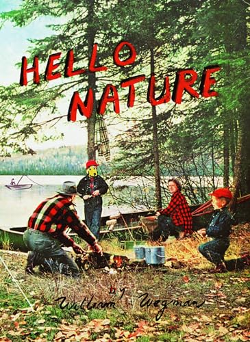Stock image for Hello Nature: How to Draw, Paint, Cook, And Find Your Way for sale by SecondSale