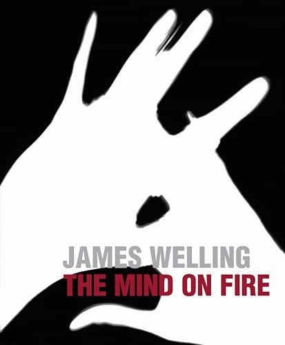 Stock image for James Welling - The Mind on Fire for sale by Hennessey + Ingalls