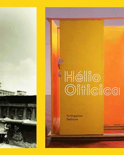 Imagen de archivo de Hlio Oiticica: To Organize Delirium a la venta por Broad Street Books