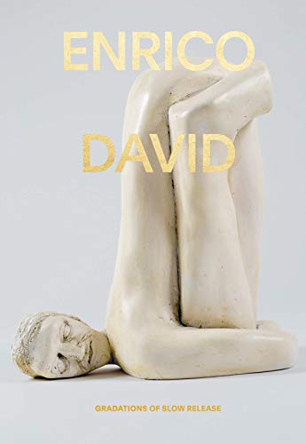 Imagen de archivo de Enrico David: Gradations of Slow Release (Ascendant Artist) a la venta por Project HOME Books