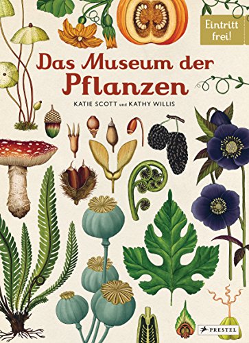 Stock image for Das Museum der Pflanzen -Language: german for sale by GreatBookPrices