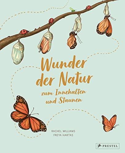 9783791374475: Wunder der Natur zum Innehalten und Staunen: 50 kleine Geschichten ber alltgliche Naturereignisse