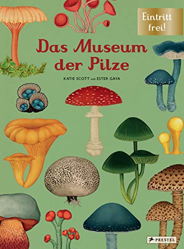 Stock image for Das Museum der Pilze for sale by Blackwell's