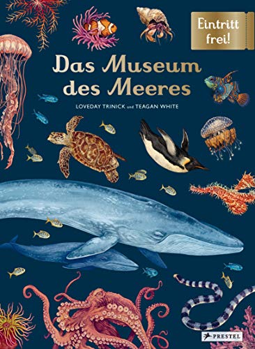9783791374628: Das Museum des Meeres: Eintritt frei!