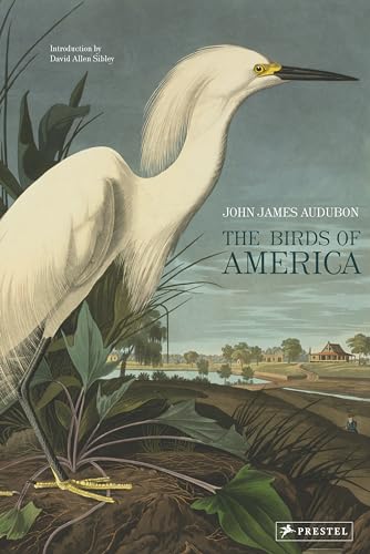 9783791379142: The Birds of America