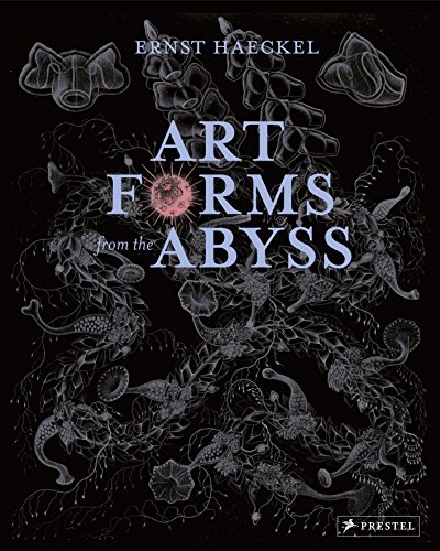 Stock image for Art Forms from the Abyss: Ernst Haeckel's Images From The HMS Challenger Expedition for sale by Books Unplugged