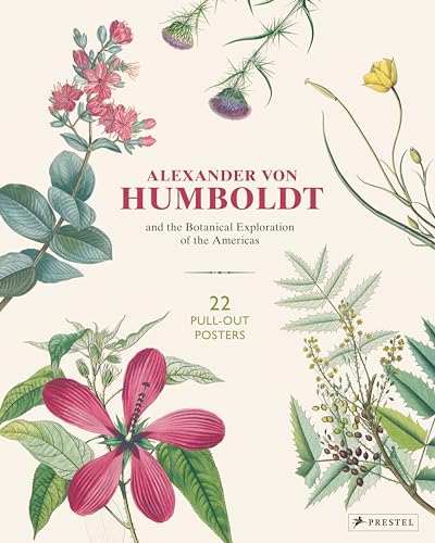 Stock image for Alexander Von Humboldt Botanical Illustrations: 22 Pull-out Posters for sale by Revaluation Books