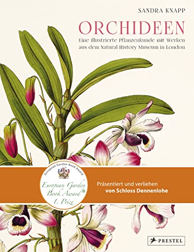 Stock image for Orchideen: Eine illustrierte Pflanzenkunde mit Werken aus dem Natural History Museum in London for sale by medimops