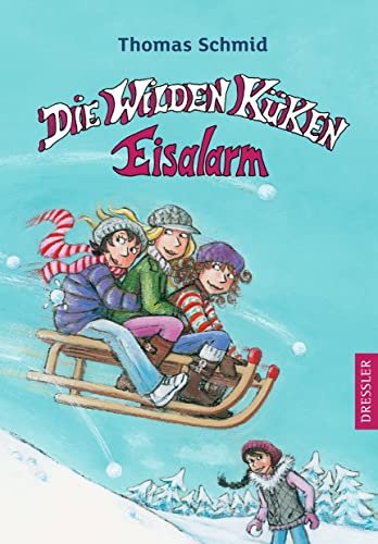9783791519173: Die Wilden Kken - Eisalarm