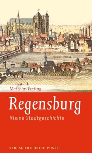 9783791723723: Kleine Regensburger Stadtgeschichte