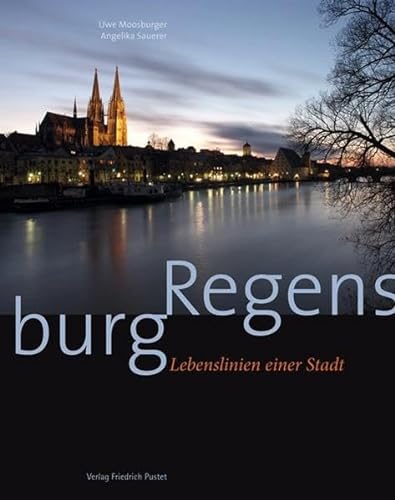 9783791724560: Regensburg: Lebenslinien einer Stadt