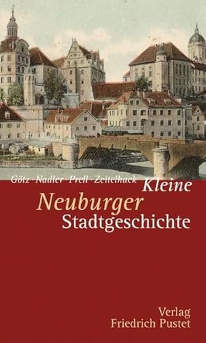 Stock image for Kleine Neuburger Stadtgeschichte for sale by medimops