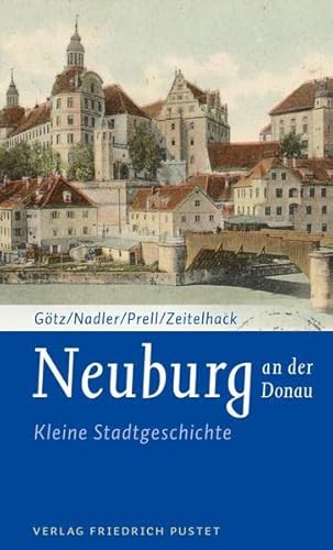 Stock image for Neuburg an der Donau Kleine Stadtgeschichte for sale by Buchpark