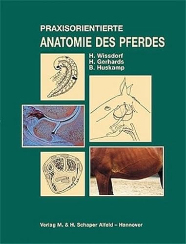 Praxisorientierte Anatomie des Pferdes. (9783794401987) by Wissdorf, Horst; Gerhards, Hartmut; Huskamp, Bernhard