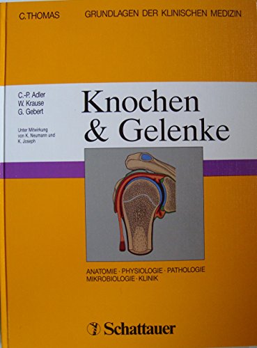Beispielbild fr Grundlagen der klinischen Medizin, in 11 Bdn., Bd.8, Knochen und Gelenke zum Verkauf von medimops