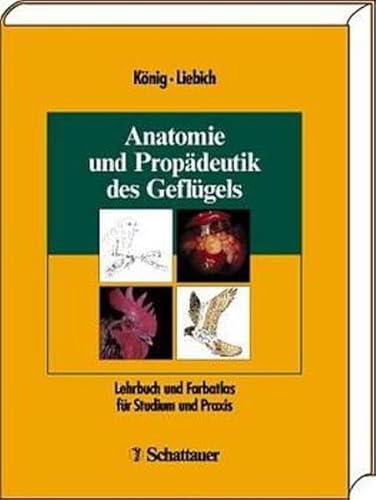 Imagen de archivo de Anatomie und Propdeutik des Geflgels: Lehrbuch und Farbatlas fr Studium und Praxis Knig, Horst E; Liebich, Hans G and Bragulla, H a la venta por BUCHSERVICE / ANTIQUARIAT Lars Lutzer