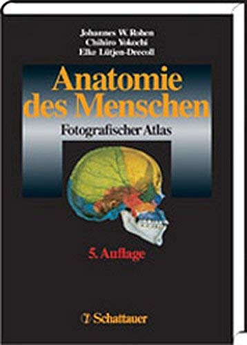 Imagen de archivo de Anatomie des Menschen a la venta por medimops