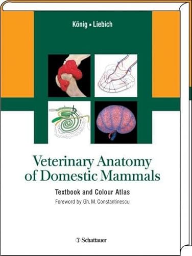 Stock image for Veterinary Anatomy of Domestic Mammals Textbook and Colour Atlas Prof. Dr. Horst Erich Knig vet Prof. Dr. Hans-Georg Liebich veterinary practices topographic view locomotor apparatus, organ's systems, circulatory and nervous systems, sensory organs, skin and its organs veterinary clinic practice anatomical structures anatomy of mammals Foreword by Gh.M. Constantinescu Anatomie Veterinrmedizin Haustiere Veterinrmedizin Sugetiere Veterinrmedizin Tierrmedizin Tierheilkunde ISBN-10 3-7945-2101-3 / 3794521013 ISBN-13 978-3-7945-2101-2 / 9783794521012 Veterinary Anatomy of Domestic Mammals Textbook and Colour Atlas Prof. Dr. Horst Erich Knig vet Prof. Dr. Hans-Georg Liebich for sale by BUCHSERVICE / ANTIQUARIAT Lars Lutzer