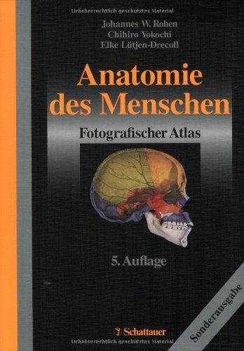 Imagen de archivo de Anatomie des Menschen a la venta por medimops