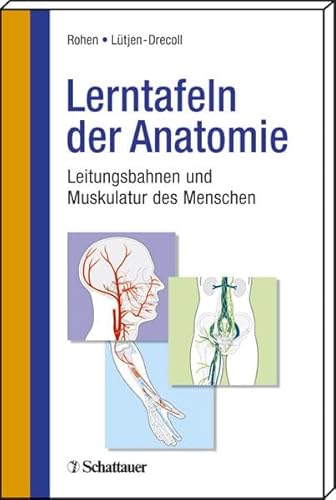 Beispielbild fr Lerntafeln der Anatomie zum Verkauf von medimops