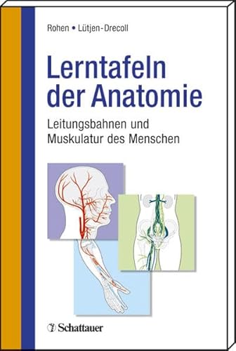 Stock image for Lerntafeln der Anatomie for sale by medimops
