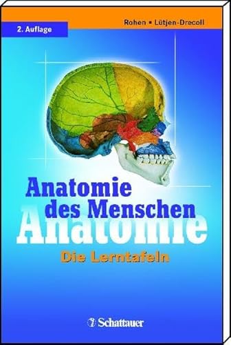 9783794525355: Anatomie des Menschen: Die Lerntafeln