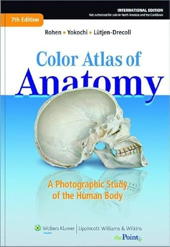 Stock image for Color Atlas of Anatomy - international edition: A Photographic Study of the Human Body Gebundene Ausgabe von Johannes W. Rohen (Autor), Chihiro Yokochi (Autor), Elke Ltjen-Drecoll (Autor) for sale by BUCHSERVICE / ANTIQUARIAT Lars Lutzer