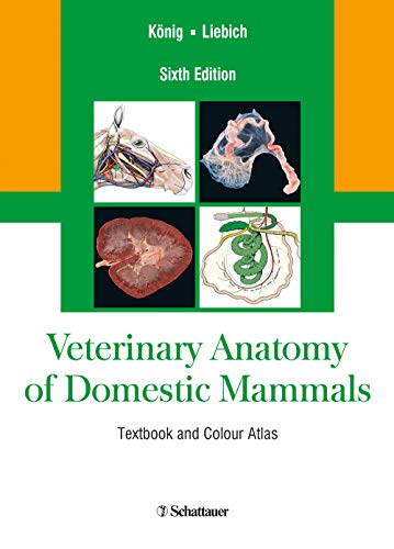 9783794528332: Veterinary Anatomy of Domestic Mammals: Textbook and Colour Atlas, Sixth Edition