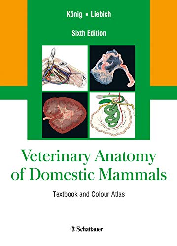 9783794528332: Veterinary Anatomy of Domestic Mammals: Textbook and Colour Atlas