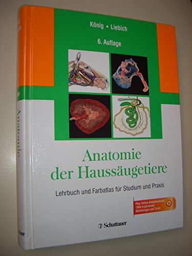 Beispielbild fr Anatomie der Haussugetiere: Lehrbuch und Farbatlas fr Studium und Praxis [Gebundene Ausgabe] Horst Erich Knig Hans Georg Liebich Tiermedizin Veterinrmedizin Bewegungsapparat Verdauungsapparat Atmungsapparat Harn Geschlechtsapparat Herz Kreislauf Abwehrsystem Nervensystem Sinnesorgane Meerschweinchen Kaninchen Hamster Chinchilla Ratte Maus zum Verkauf von BUCHSERVICE / ANTIQUARIAT Lars Lutzer