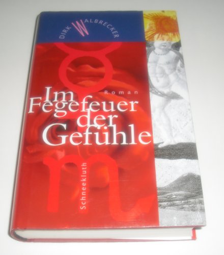 Beispielbild fr Im Fegefeuer der Gefhle. Roman. Hardcover mit Schutzumschlag zum Verkauf von Deichkieker Bcherkiste