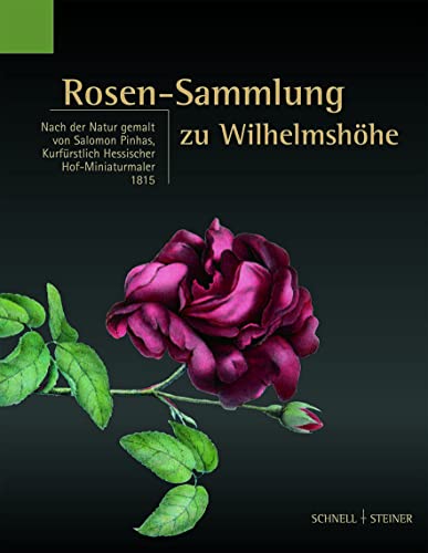 9783795413798: Rosen-Sammlung Zu Wilhelmshohe