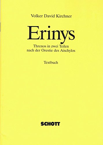 9783795734466: Erinys