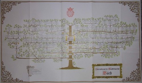9783795904883: Family Tree of the Musician Familie Bach