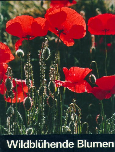 Wildblühende Blumen. Fotografischer Streifzug durch unsere Umgebung