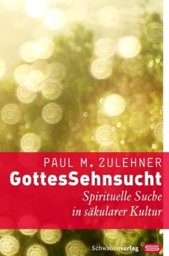 Beispielbild fr GottesSehnsucht: Spirituelle Suche in skularer Kultur zum Verkauf von medimops