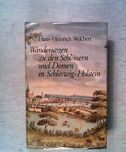 9783797303103: Wanderungen zu den Domen und Schlssern in Schleswig-Holstein.