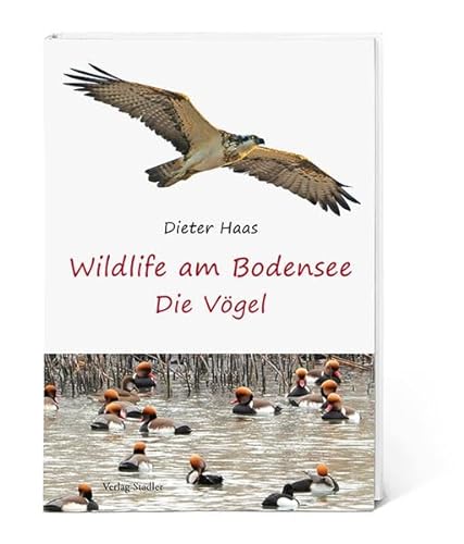 Beispielbild fr Wildlife am Bodensee: Die Vgel zum Verkauf von medimops